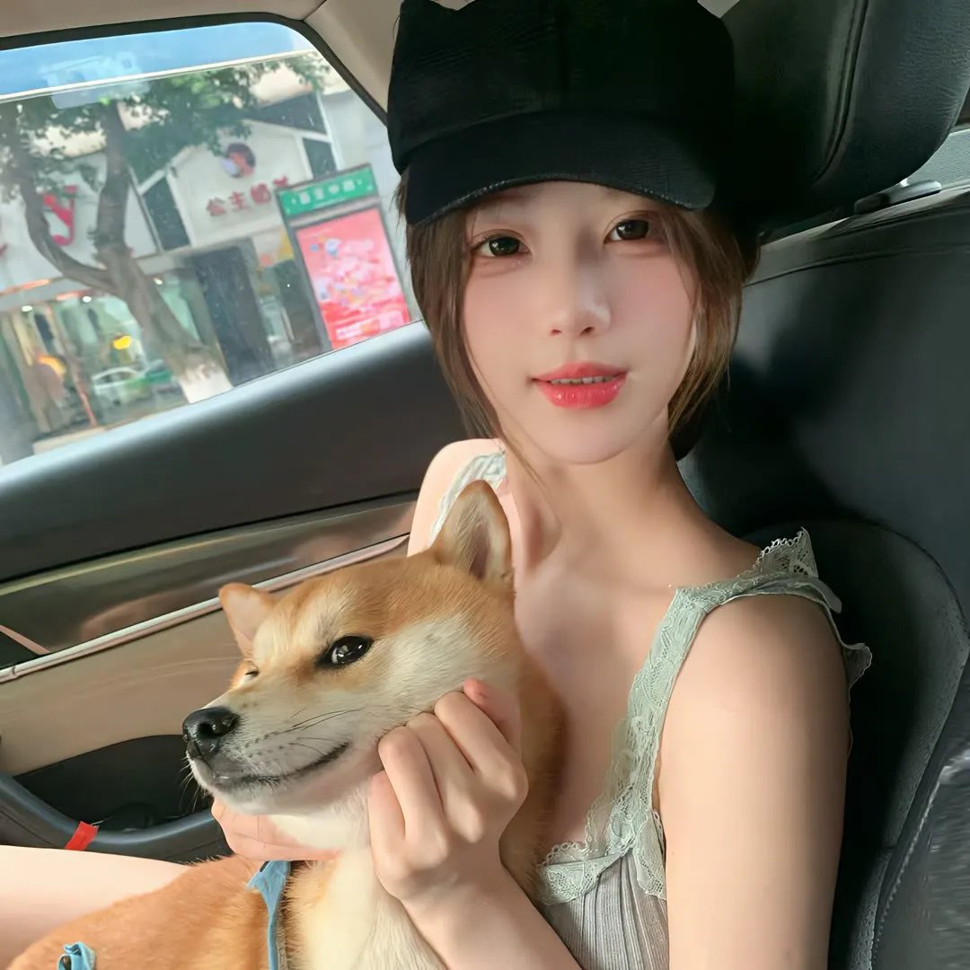 蟾蜍之路